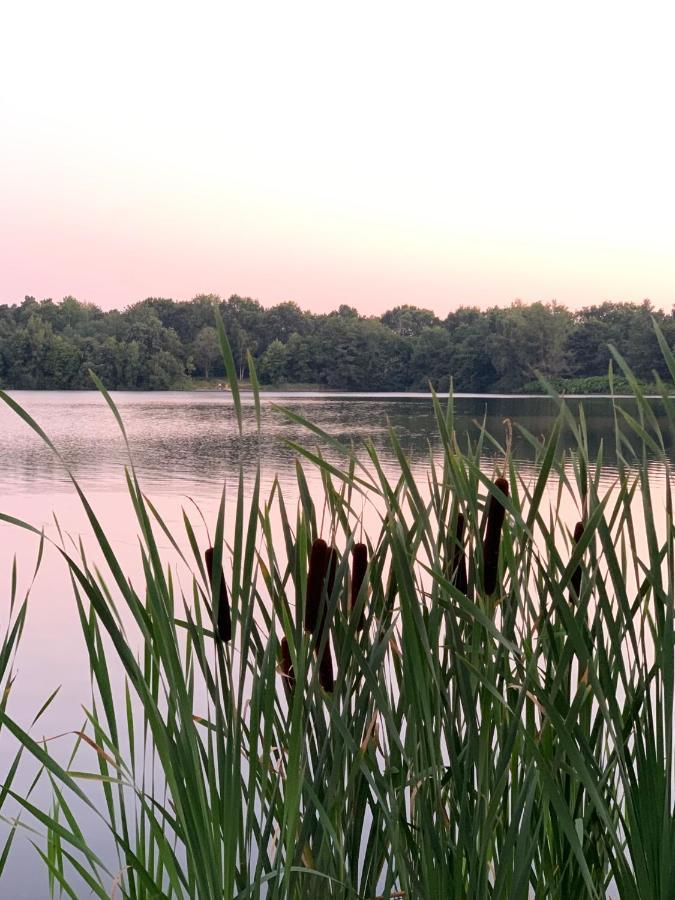 Ferienhaus Seeblick am Harkebrügger See mit Sauna und Kamin Barssel  Exterior foto